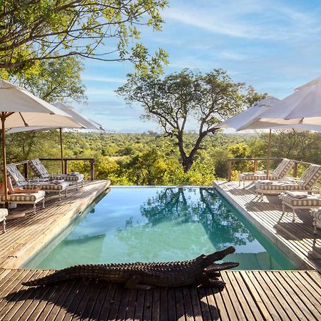 Simbavati Hilltop Lodge Timbavati Vadrezervátum Kültér fotó