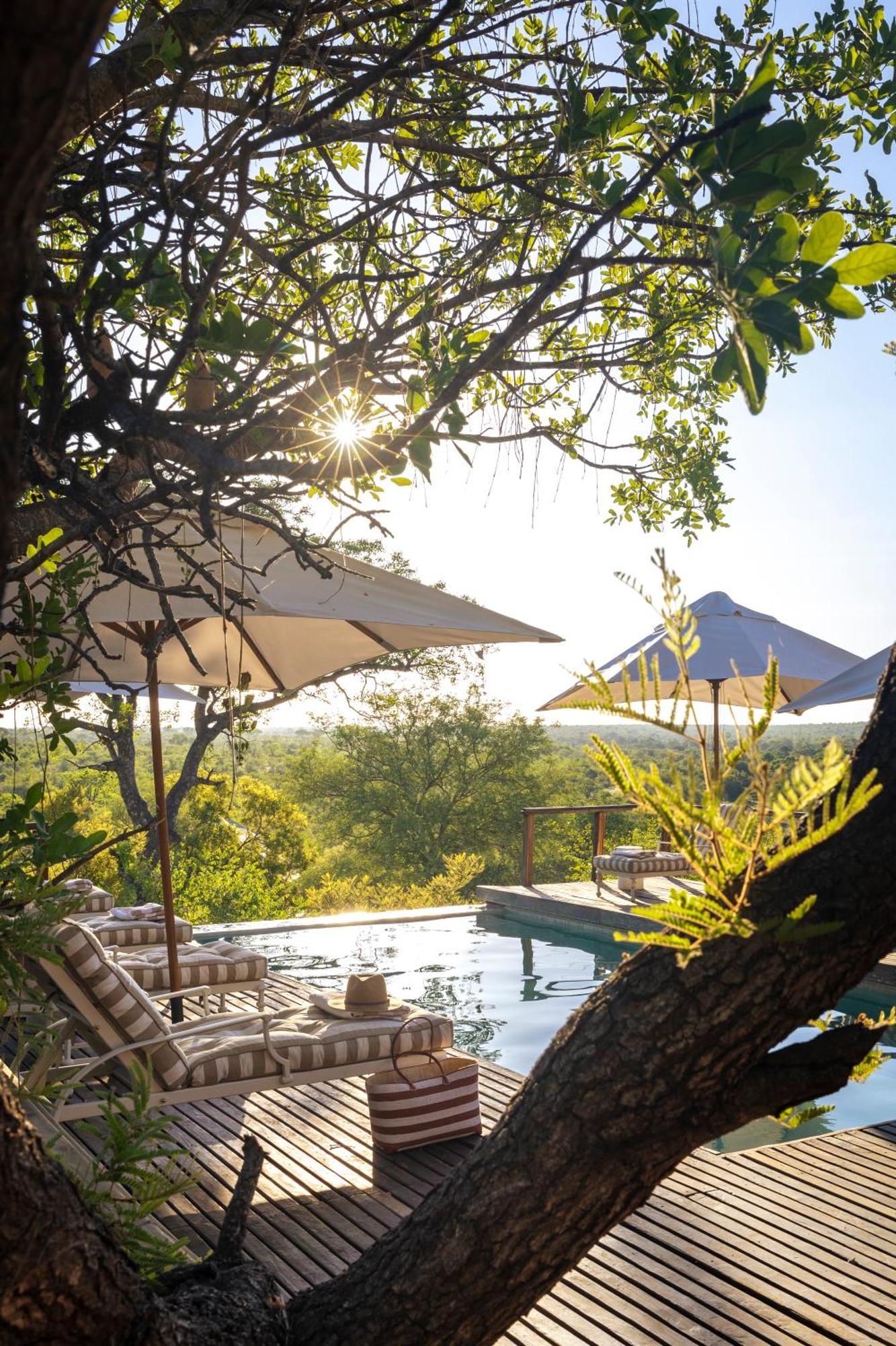 Simbavati Hilltop Lodge Timbavati Vadrezervátum Kültér fotó