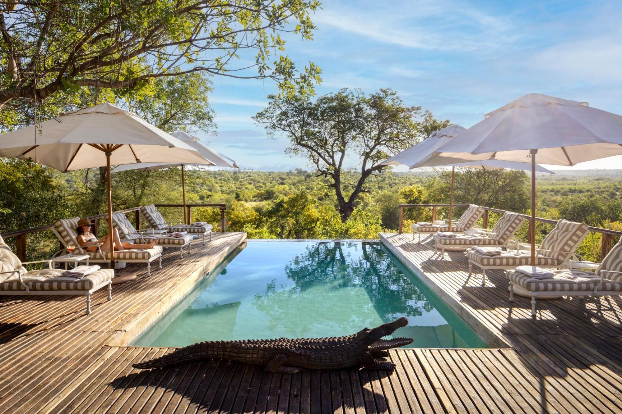 Simbavati Hilltop Lodge Timbavati Vadrezervátum Kültér fotó