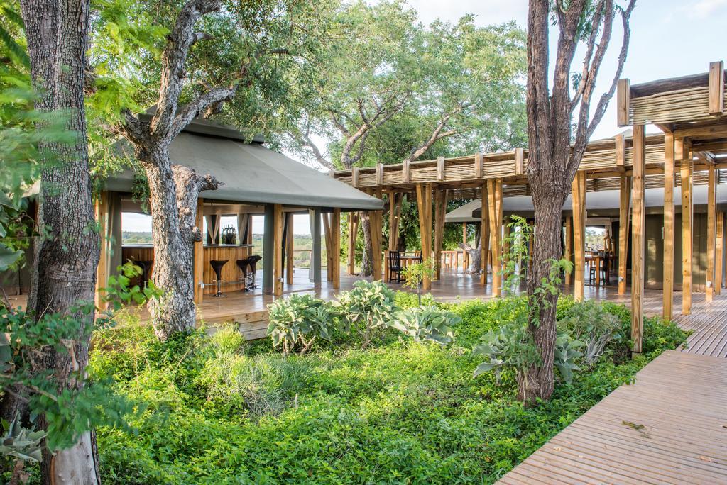 Simbavati Hilltop Lodge Timbavati Vadrezervátum Kültér fotó