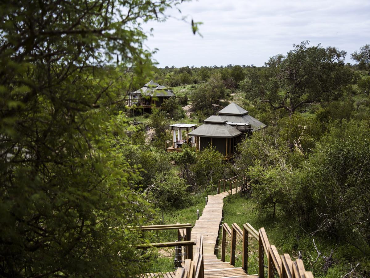 Simbavati Hilltop Lodge Timbavati Vadrezervátum Kültér fotó