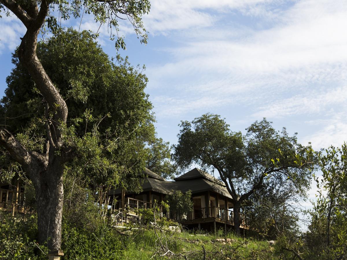 Simbavati Hilltop Lodge Timbavati Vadrezervátum Kültér fotó