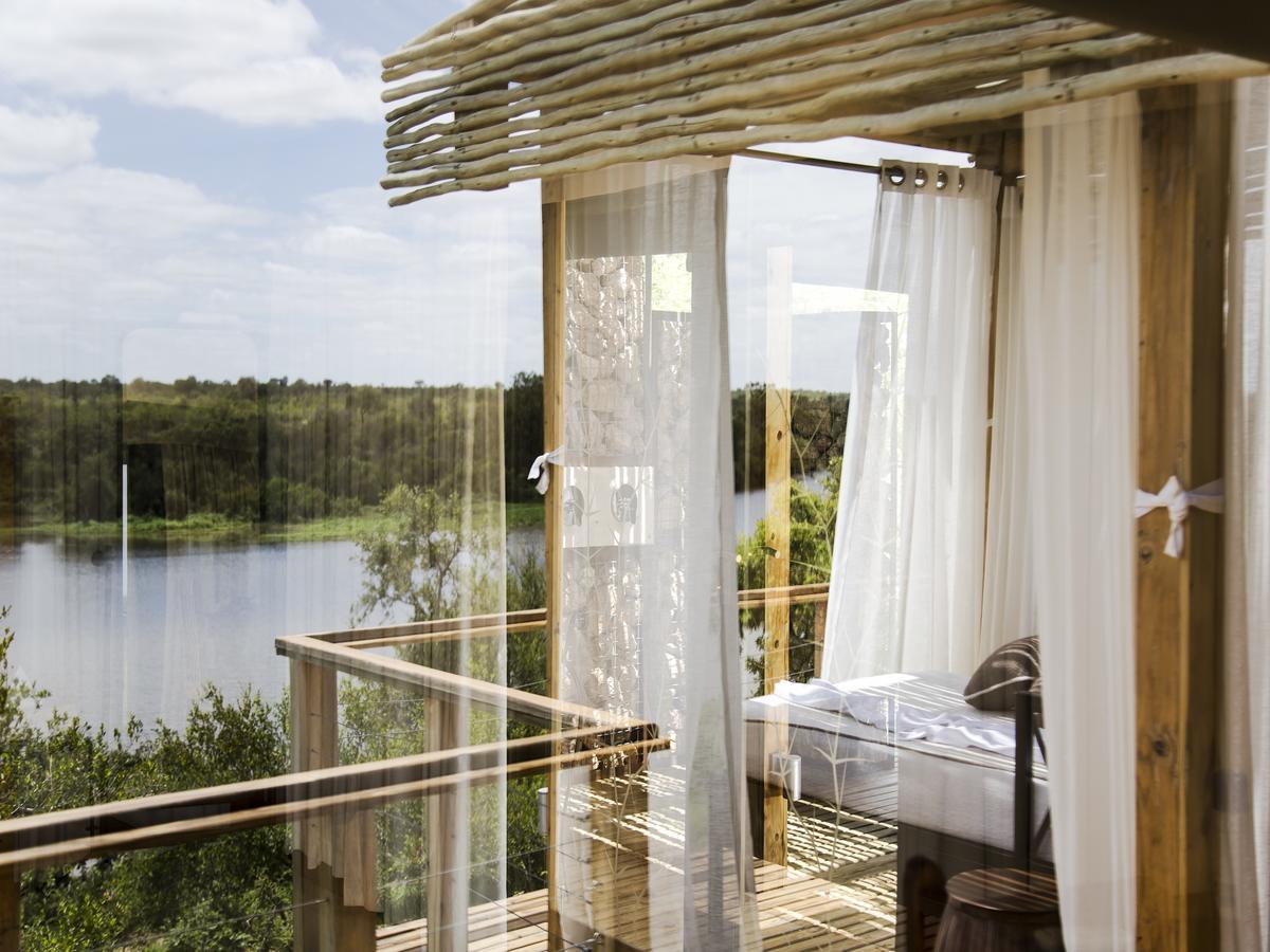 Simbavati Hilltop Lodge Timbavati Vadrezervátum Kültér fotó